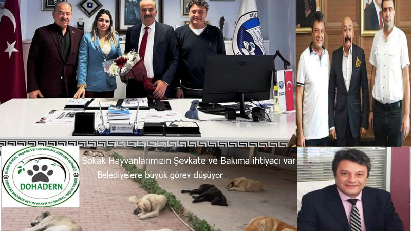DOHADERN; Bu Bizim Değil, Onların Çağrısı!