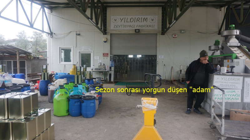 YILDIRIM ZEYTİNYAĞI FABRİKASI HİZMETLERE DEVAM EDİYOR